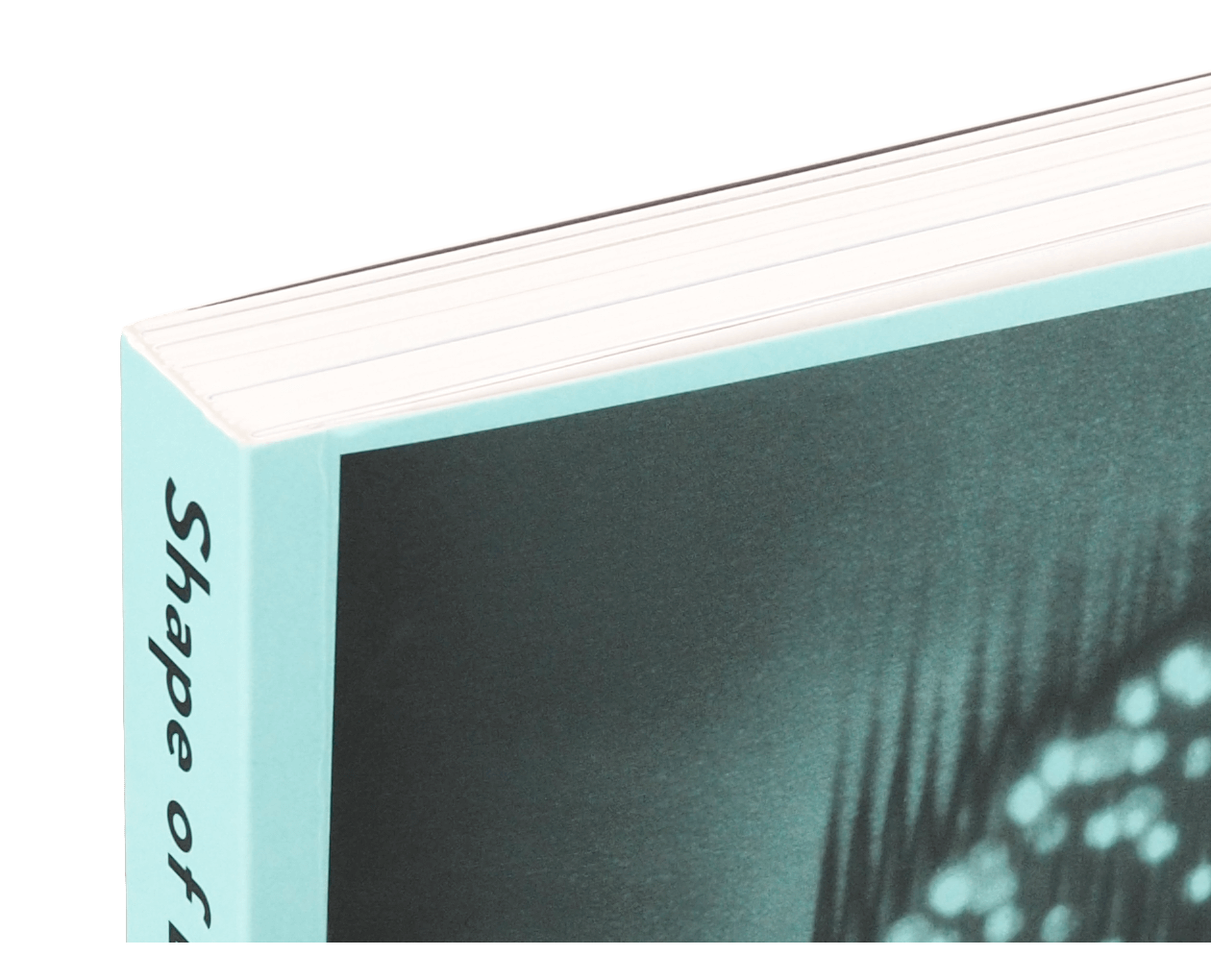 Product image thumbnail