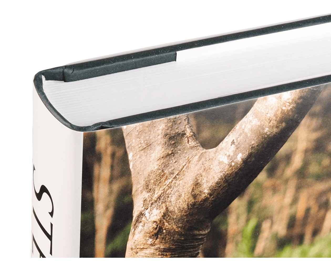 Product image thumbnail