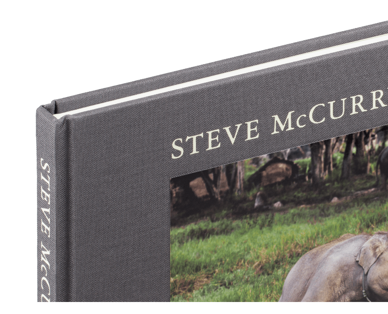 Product image thumbnail