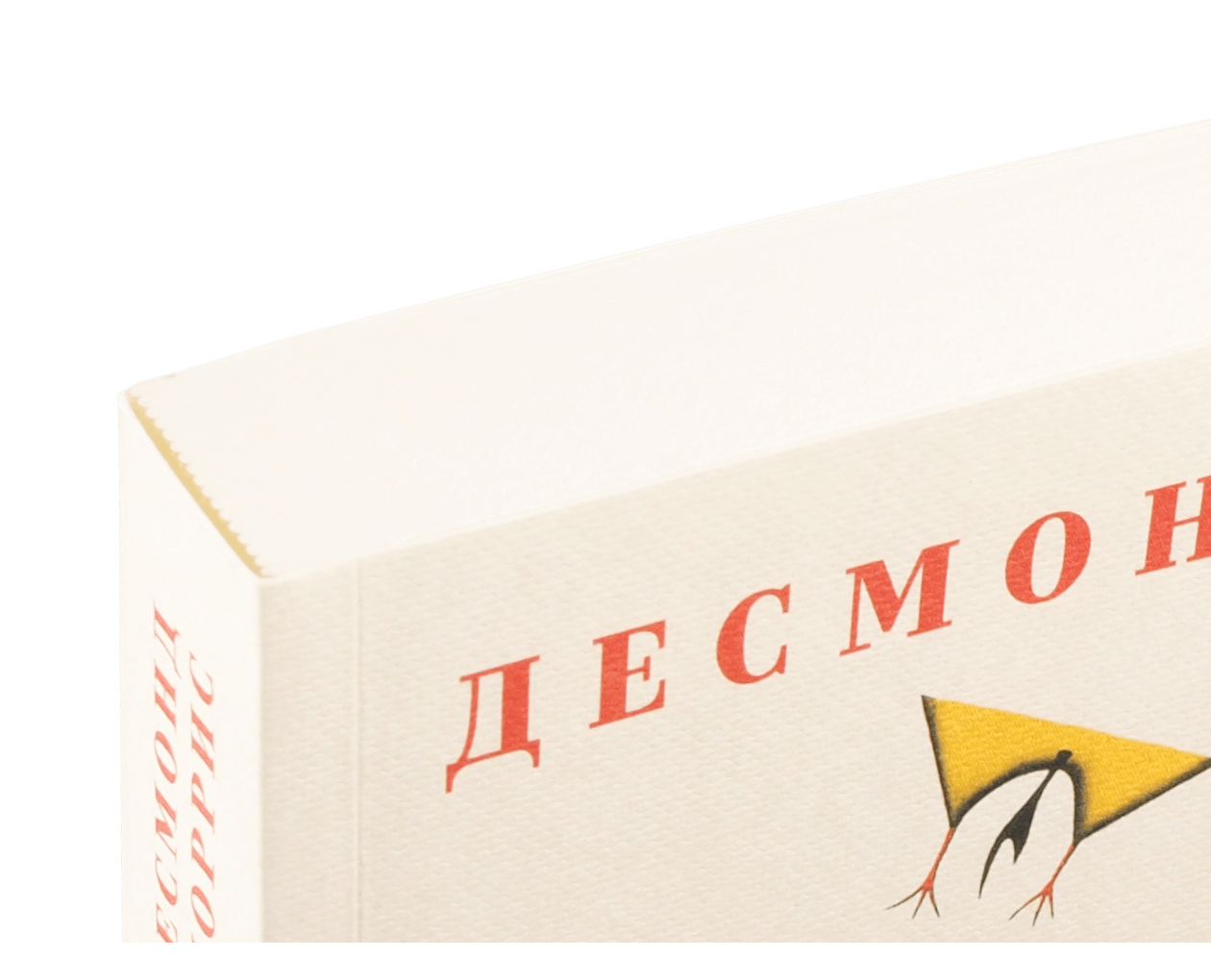 Product image thumbnail