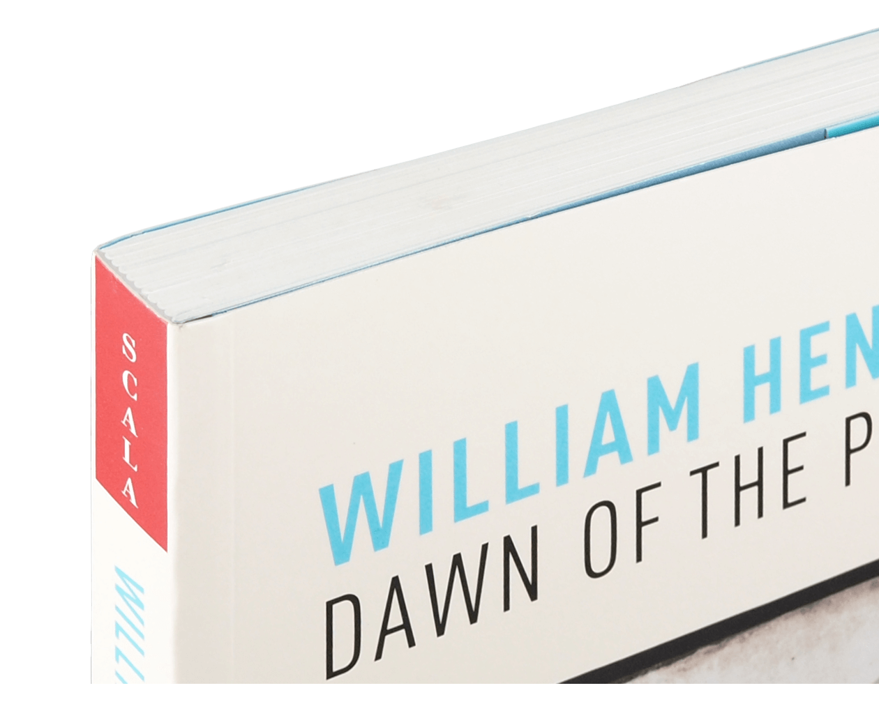 Product image thumbnail