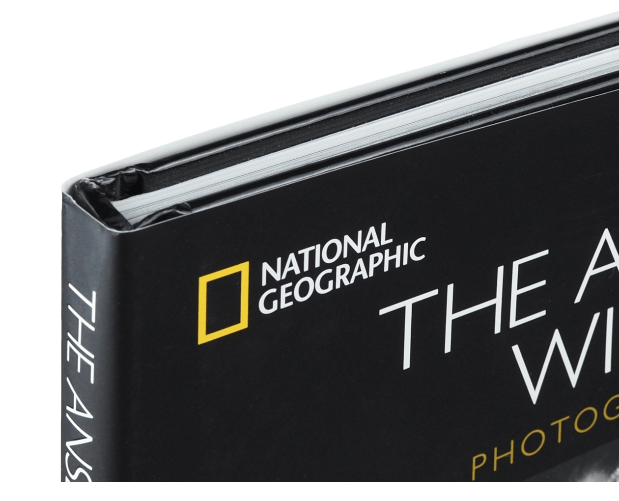 Product image thumbnail