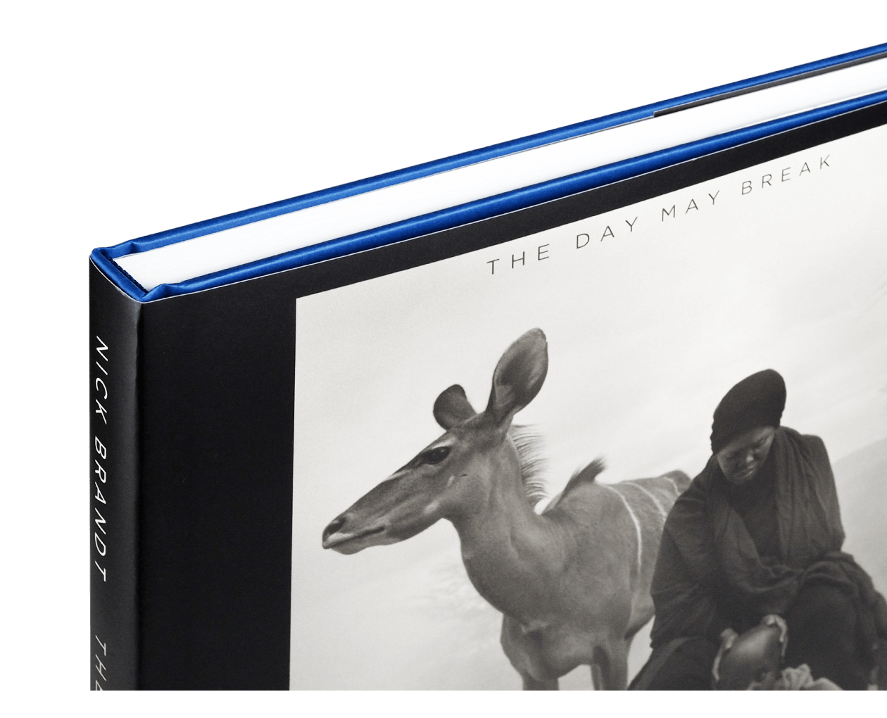 Product image thumbnail