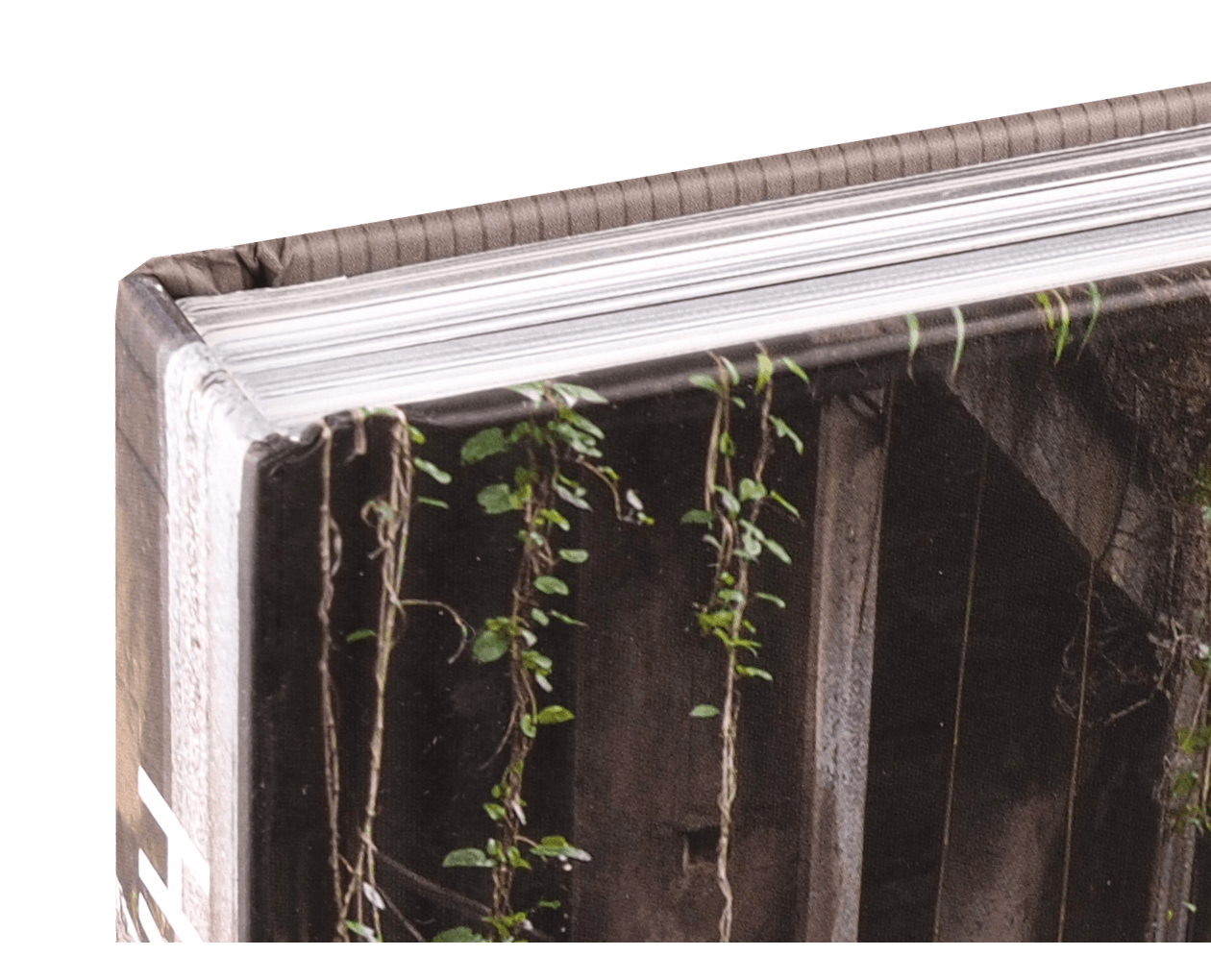 Product image thumbnail