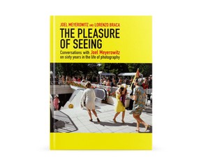 Книга "The Pleasure of Seeing. Conversations with Joel Meyerowitz"