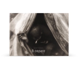 Книга "В овраге"