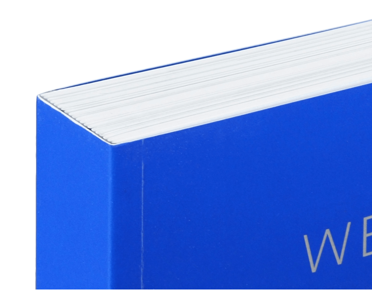 Product image thumbnail