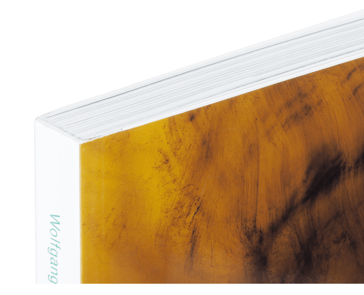 Product image thumbnail